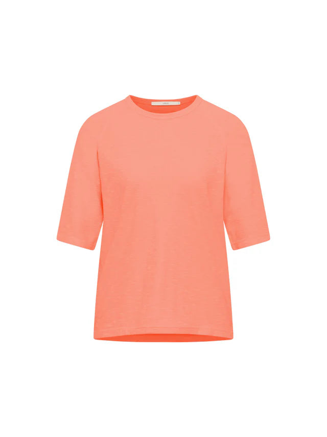 Raglanshirt GOTS LANIUS 🍀